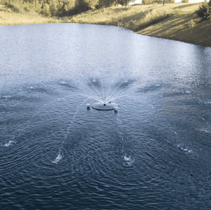 PondSelect: Classic Series 1/3 HP Pond Fountain, 5 Spray Patterns – 115V