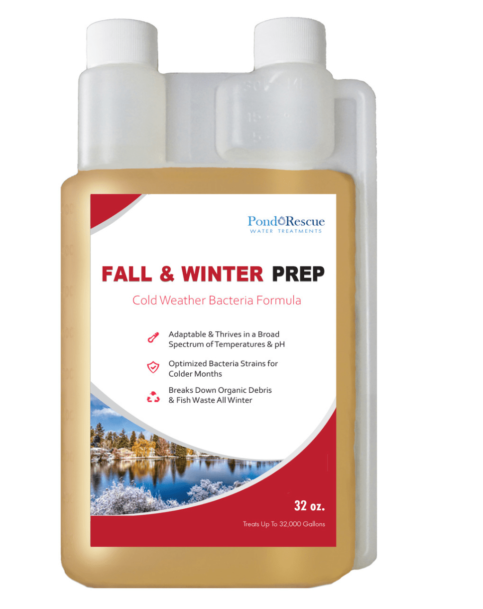 Anjon: Fall and Winter Prep