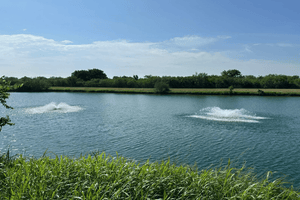 Outdoor Water Solutions: Pond Aeration Fountain / Aquarian Pro / 1/2HP-1.5HP