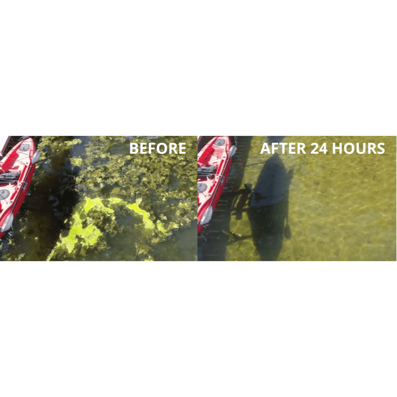 Load image into Gallery viewer, Hydrasearch: Weeds Away Muck & Algae Blower with Dock Mount