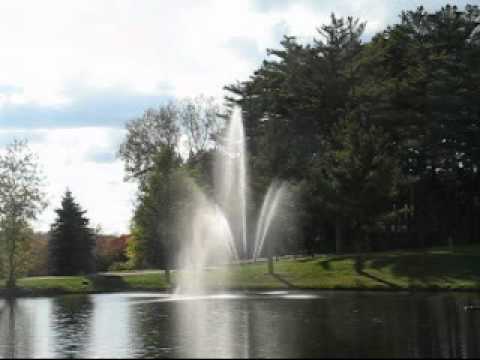 Load and play video in Gallery viewer, Scott Aerator: Clover Fountain