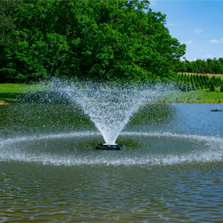 Hydrasearch: Power House Aerating Fountain 1 HP