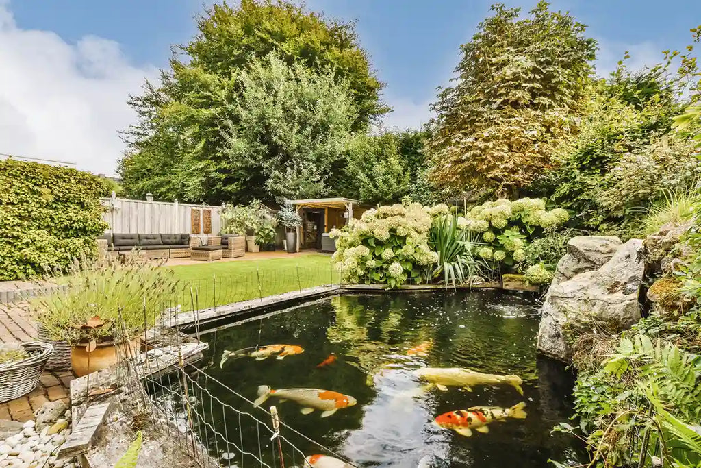 Above Ground Pond