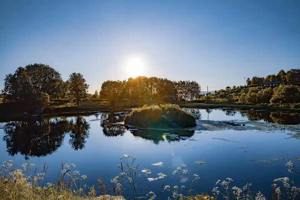 How to Lower pH in Pond