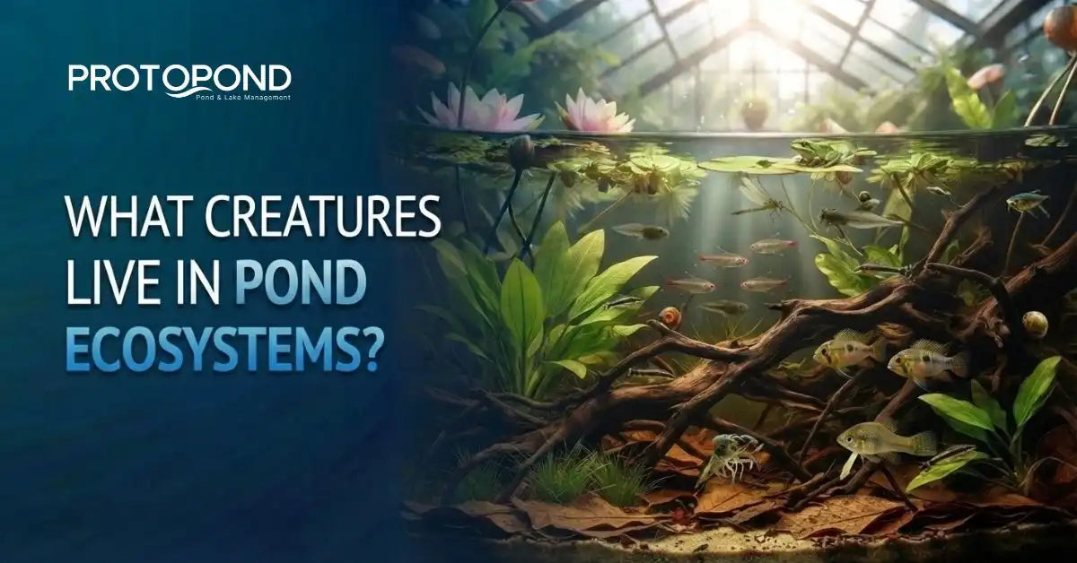 What Creatures Live in Pond Ecosystems?