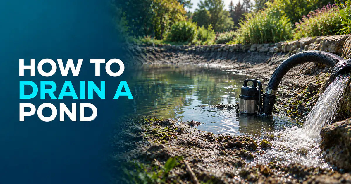 How to Drain a Pond featured image