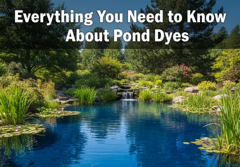  Pond Dyes