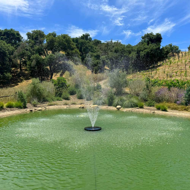Load image into Gallery viewer, PondSelect: Classic Series 1 HP Pond Fountain, 5 Spray Patterns – 115V
