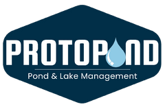 Protopond