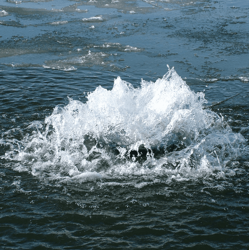 Load image into Gallery viewer, Aqua Control: Floating Evolution Aerating Fountains
