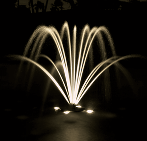 Aqua Control: Evolution Series Fleur De Lis Nozzle