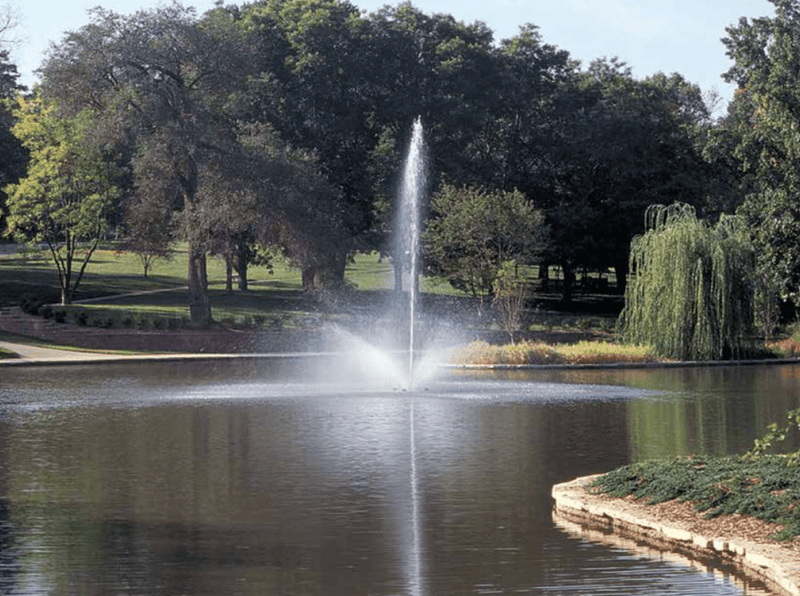 Load image into Gallery viewer, Air-O-Lator: Font&#39;N-Aire Platinum 2HP
