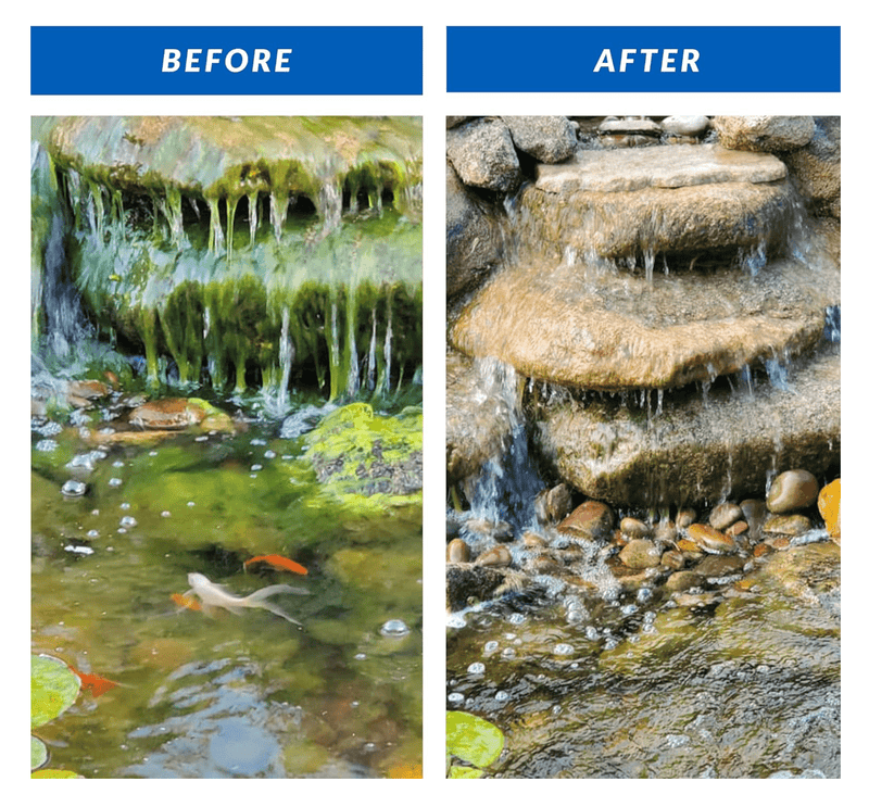 Load image into Gallery viewer, CrystalClear® Algae D-Solv Pond Algae Control, Fast-Acting EPA Registered Algaecide, Use in Fountains &amp; Outdoor Ponds Containing Koi &amp; Other Fish, Treats 5,760 Gallons
