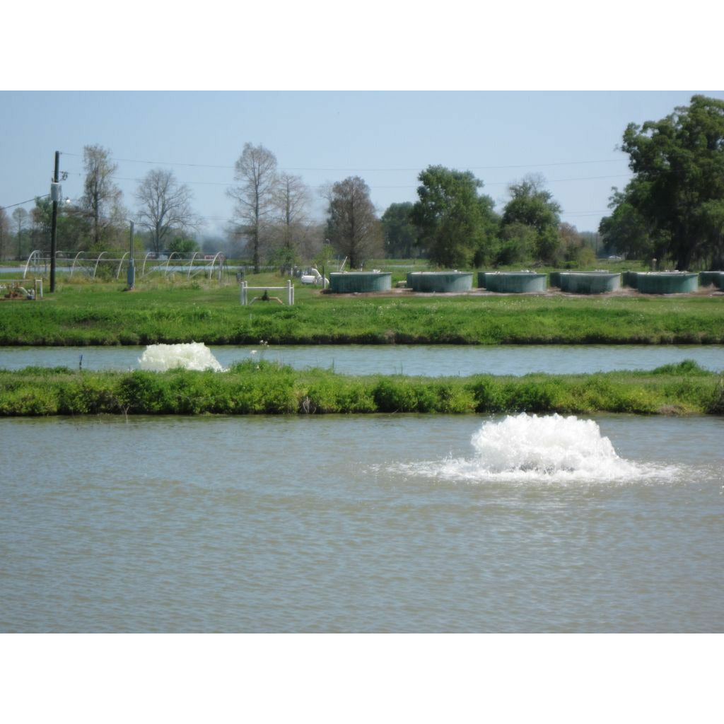 Kasco Marine: 2 Acre Pond Aerator 2 HP