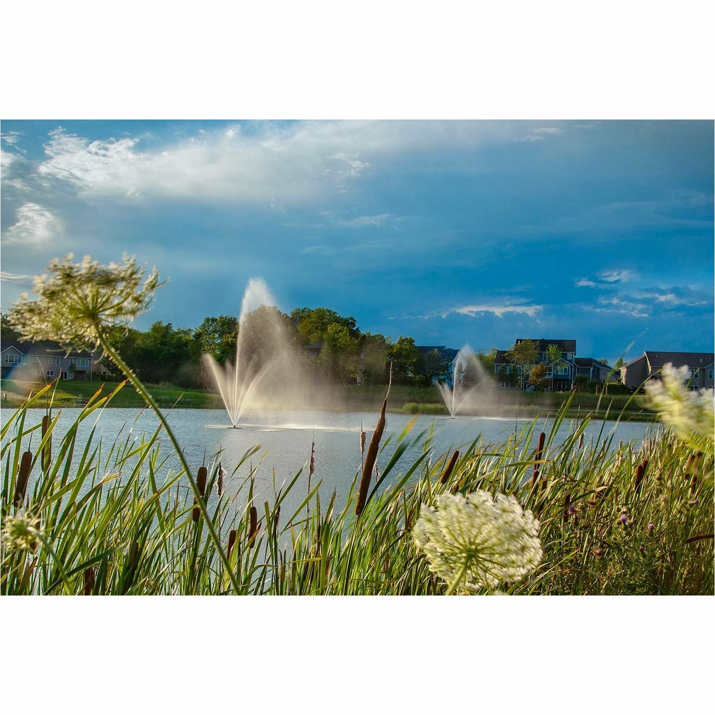 Scott Aerator: Atriarch Fountain