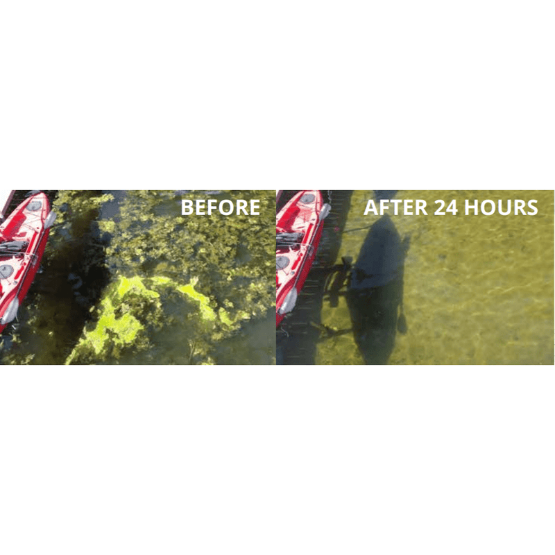 Load image into Gallery viewer, Hydrasearch: Weeds Away Muck &amp; Algae Blower with Dock Mount
