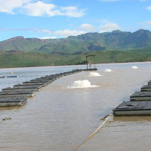 Kasco Marine: 3 Acre Pond Aerator 3 HP