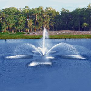 Vertex FanJet Commercial Fountain